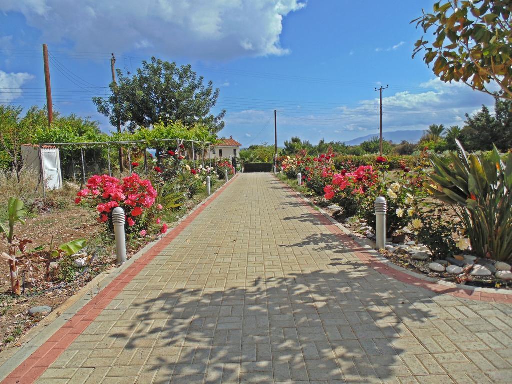 Eliofos Luxury Villa Polis Kültér fotó