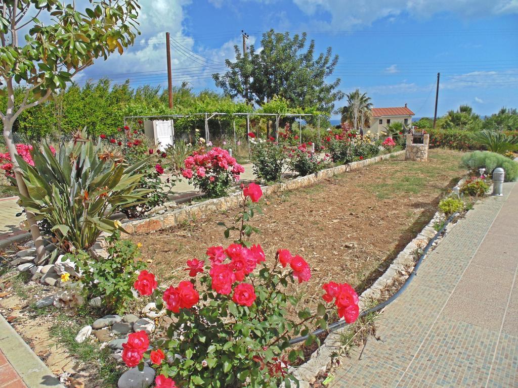 Eliofos Luxury Villa Polis Kültér fotó