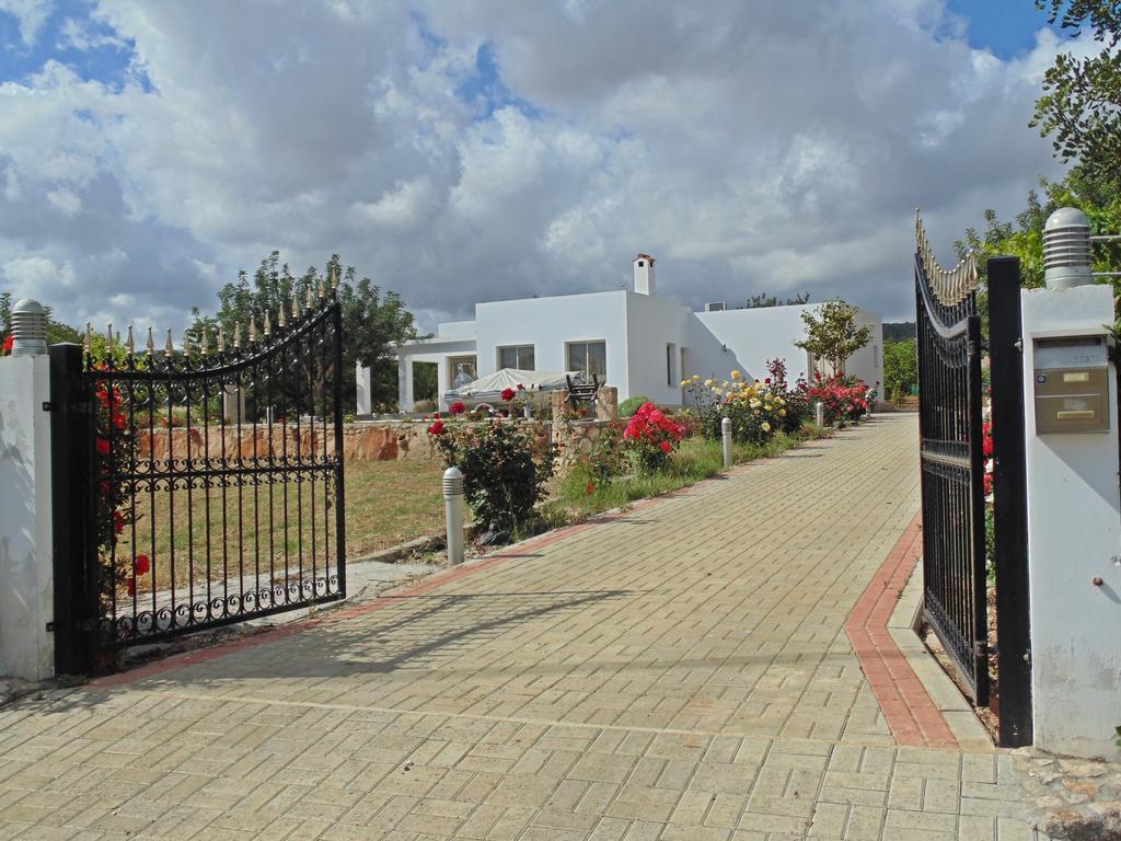 Eliofos Luxury Villa Polis Kültér fotó