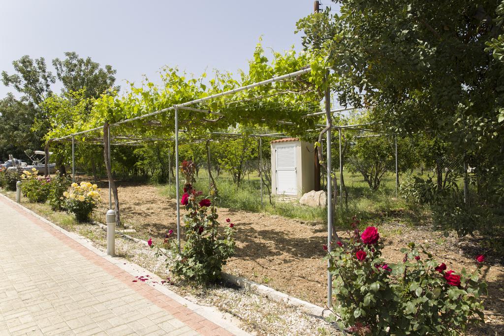 Eliofos Luxury Villa Polis Kültér fotó