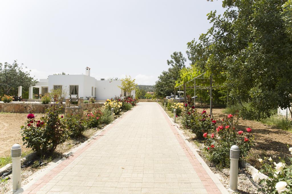 Eliofos Luxury Villa Polis Kültér fotó